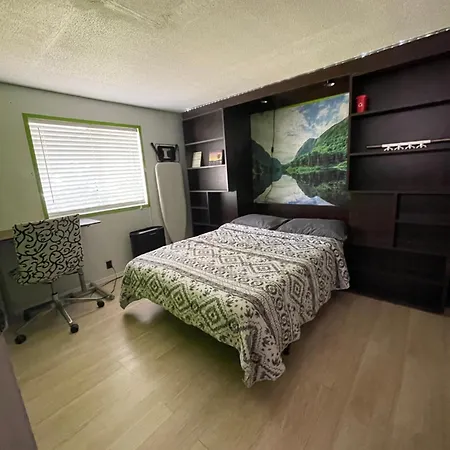 Tiny But Cozy Manufactured House Apartment Tampa Exterior photo